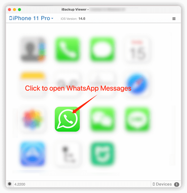 open WhatsApp messages