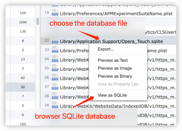 preview sqlite