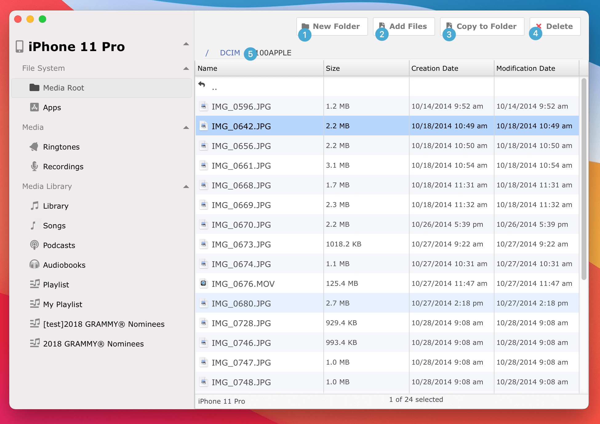 iCopyAssistant Files View