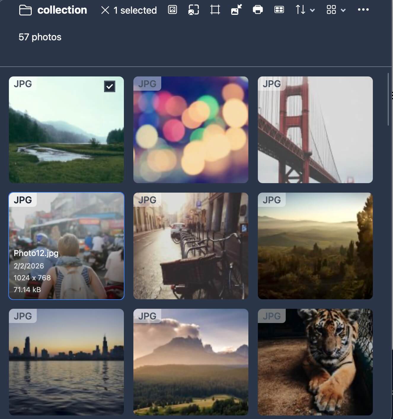 ImgLookメインビュー